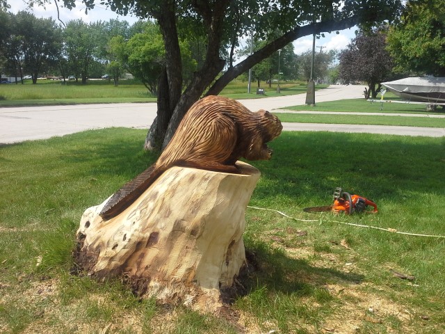 chainsaw carved stump beaver