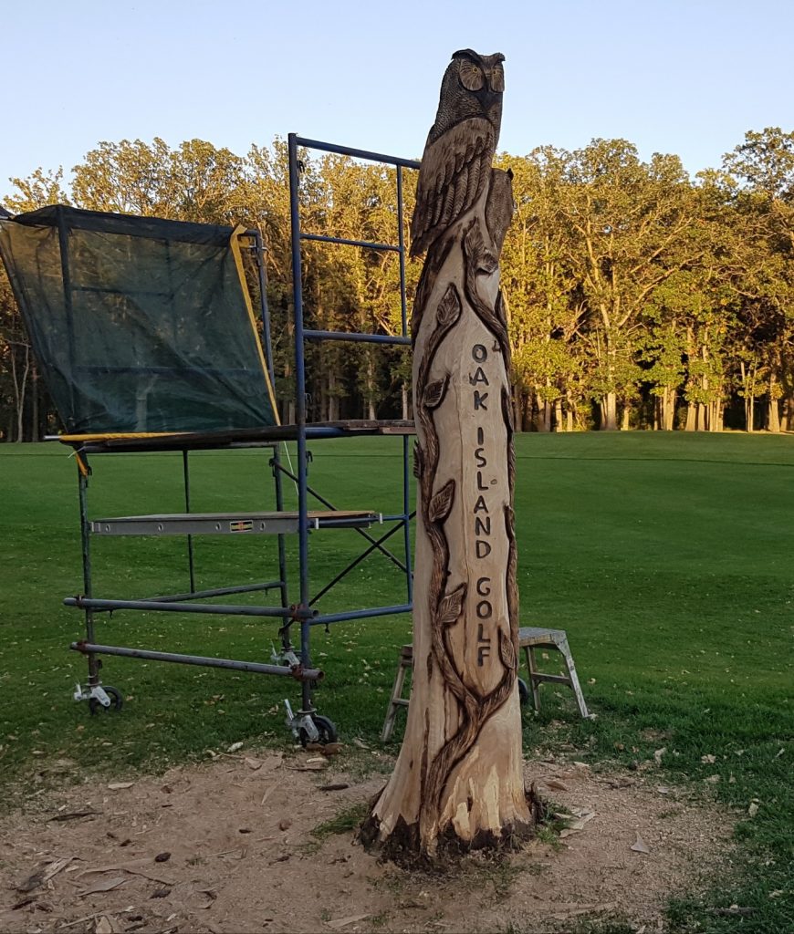 Chainsaw carved owl in golf coarse