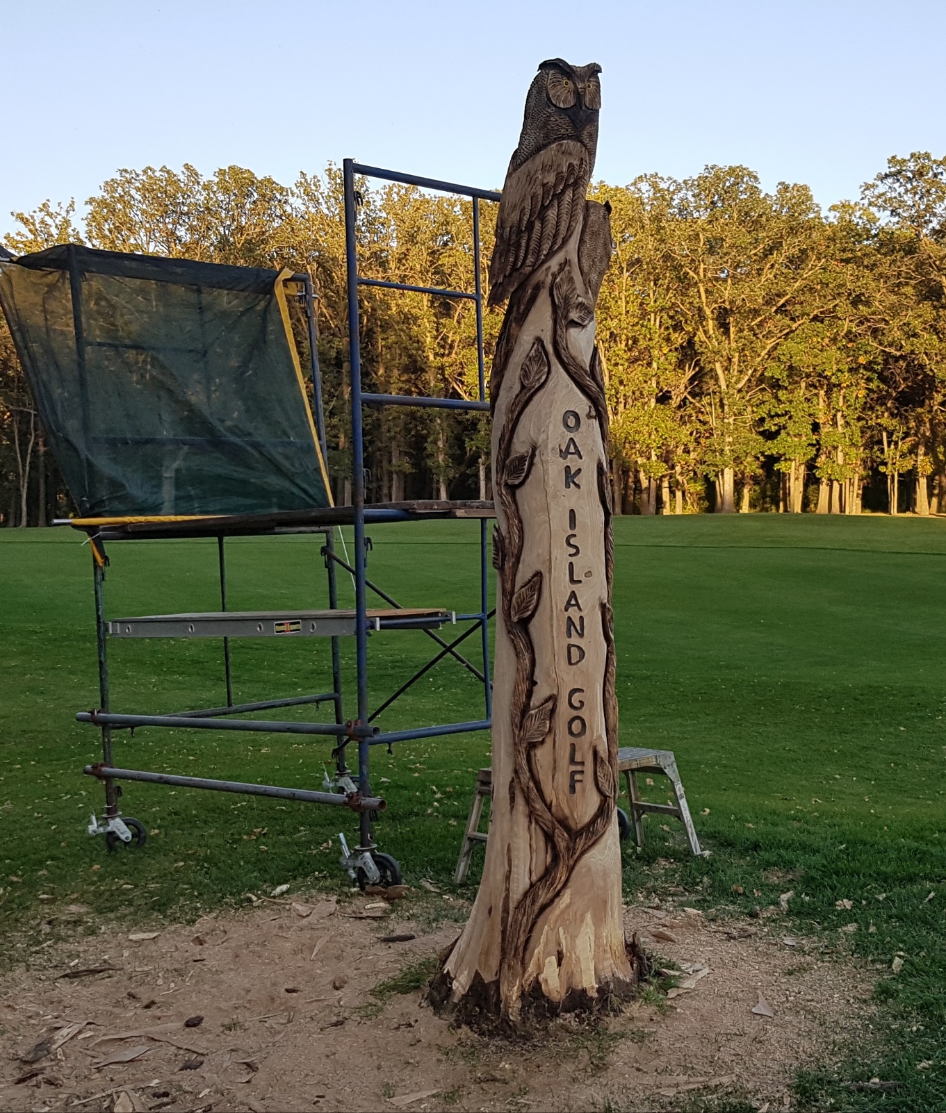 Chainsaw carved oak tree with owls and vine carved in golf coarse