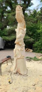 Winnipeg stump carving